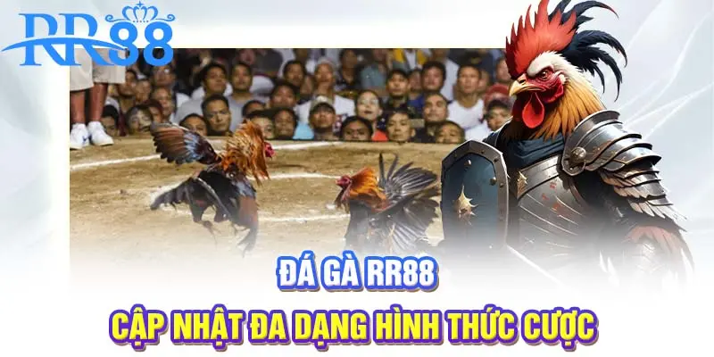 Đá gà RR88 cập nhật đa dạng hình thức cược